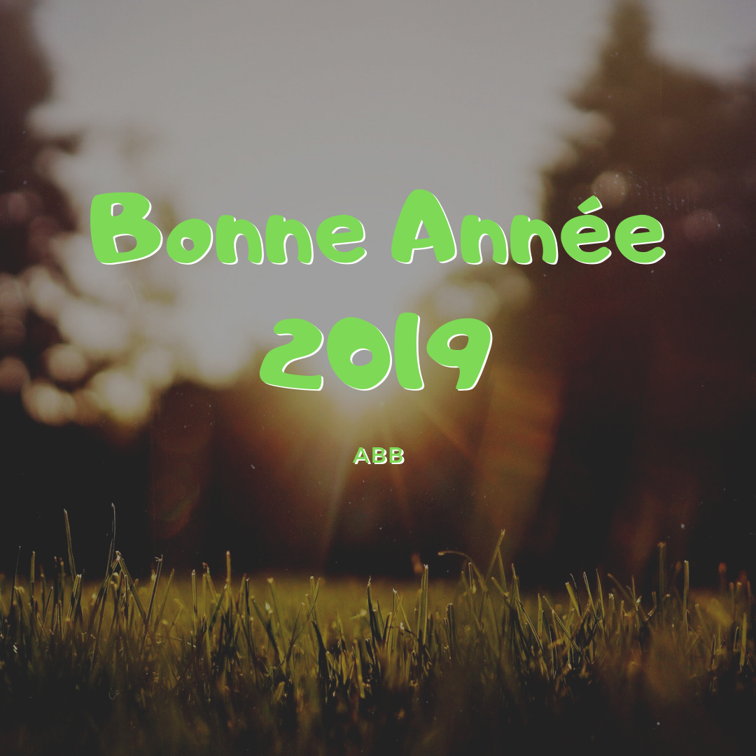 You are currently viewing Bonne Année 2019