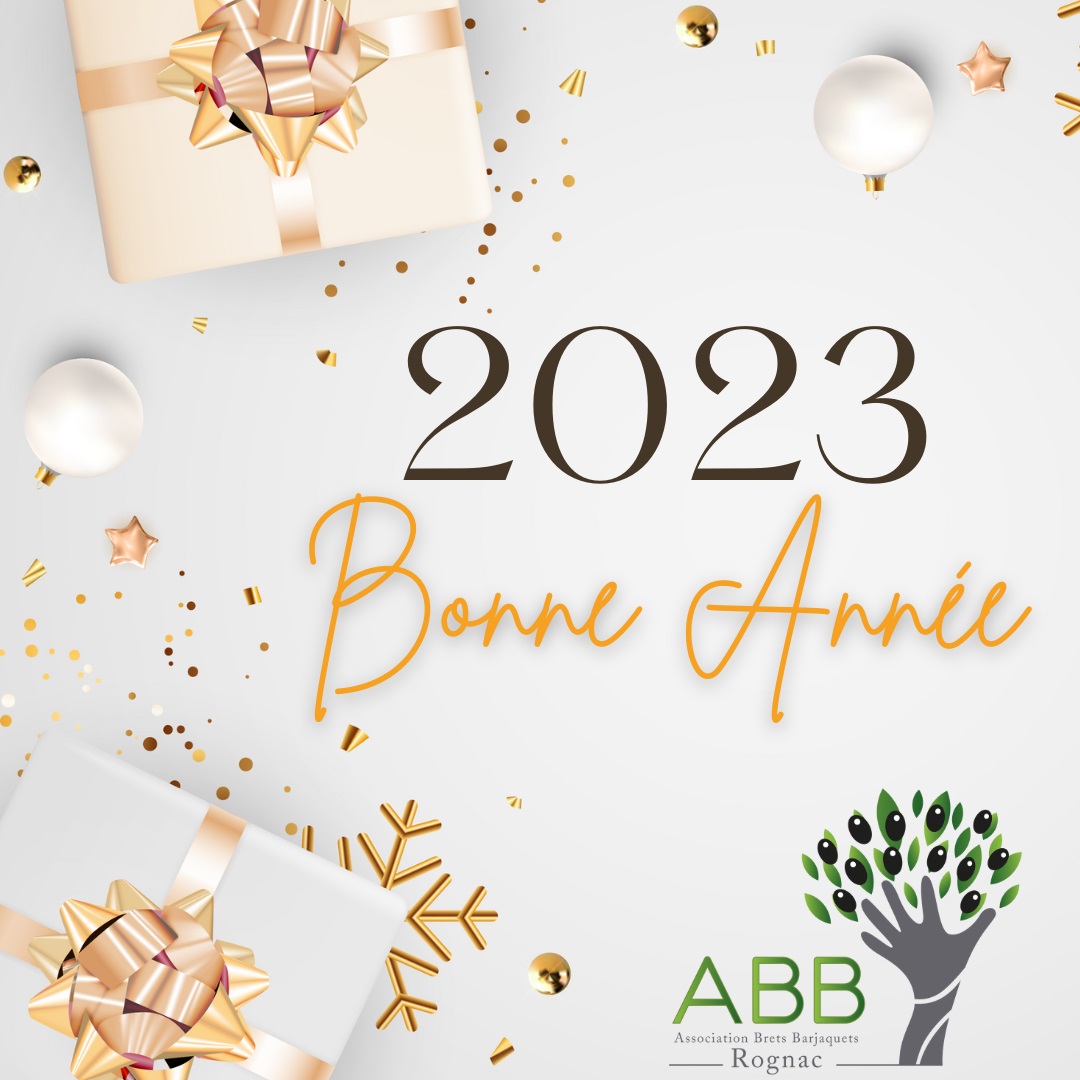 Lire la suite à propos de l’article Bonne Année 2023 !